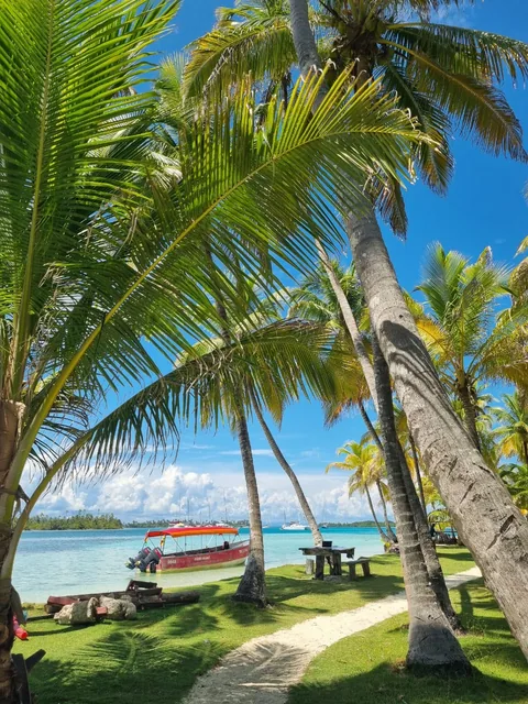 A red covered boat beside a palm-lined shore, with picnic tables and sailboats across turquoise water in San Blas, Panama.
