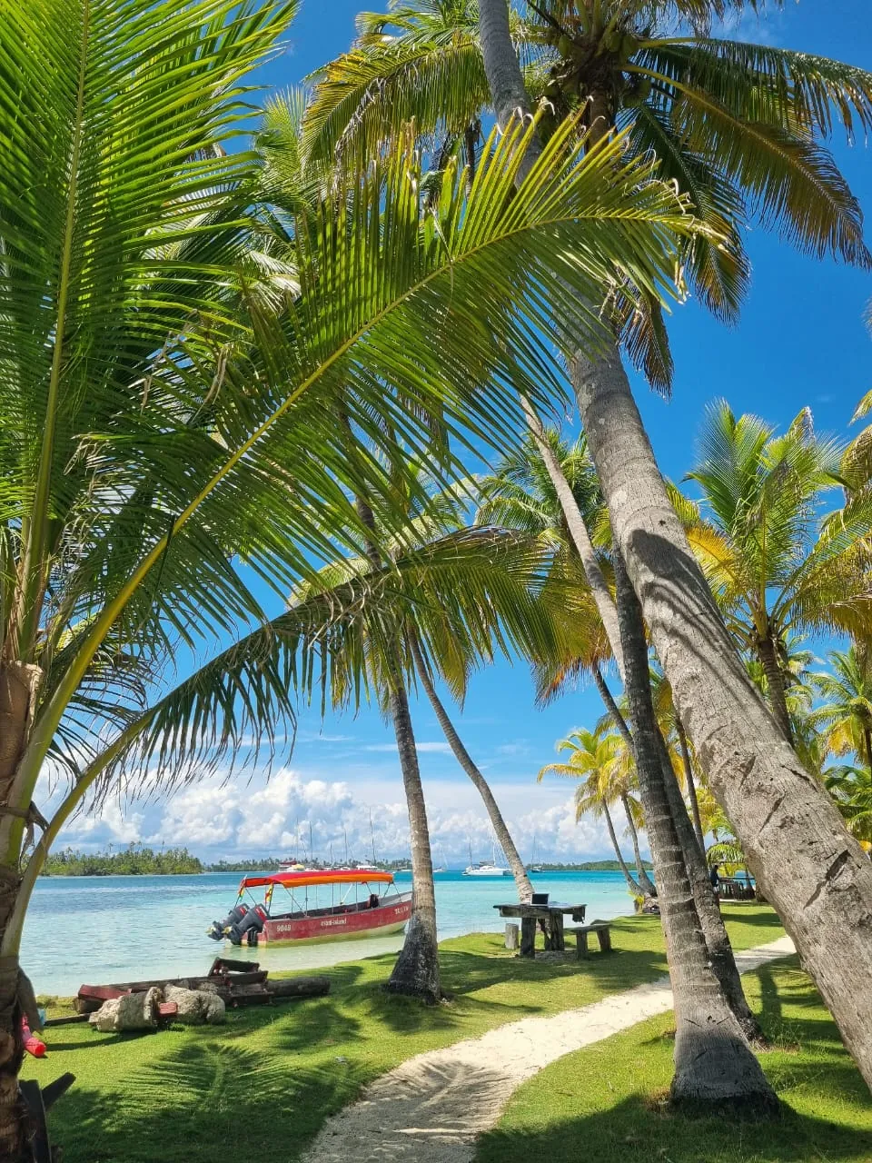 A red covered boat beside a palm-lined shore, with picnic tables and sailboats across turquoise water in San Blas, Panama.
