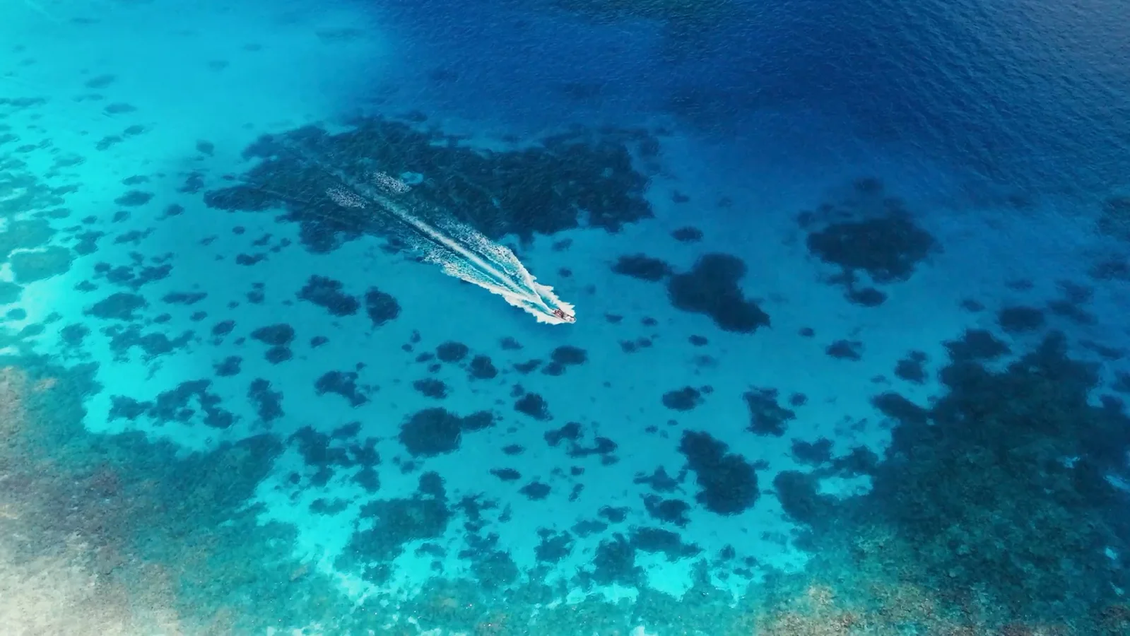 Palm islands and turquoise water in San Blas