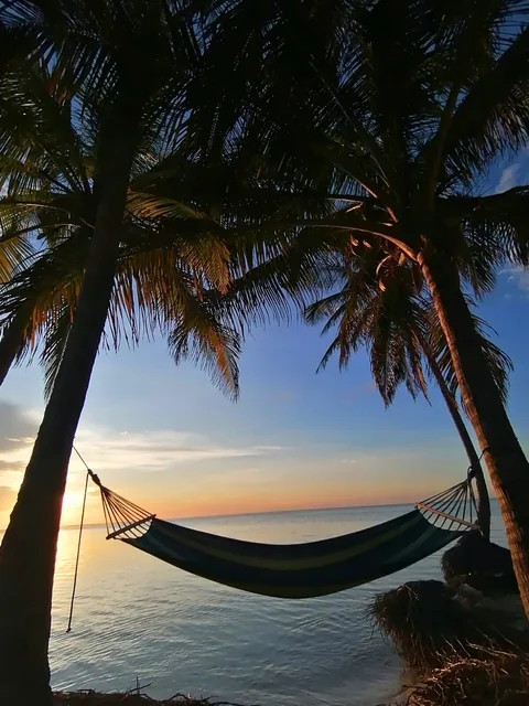 A hammock hangs between coconut palms above the water at sunset on Yanis Island in San Blas, Panama.